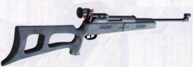 biathlon